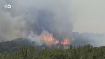 Fransa'da orman yangınları korkutuyor