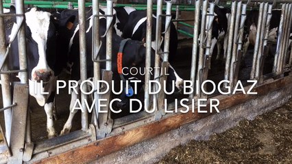 Courtil: il fabrique du biogaz avec le lisier de ses vaches