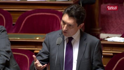 Olivier Cadic sur IRP : "Il faut passer à un monde où l'on travaille ensemble"