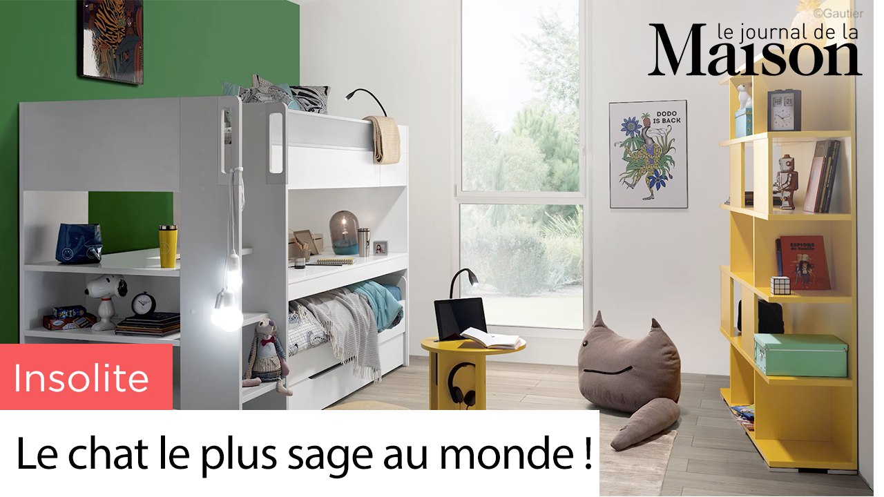 Déco insolite : le chat le plus sage au monde !