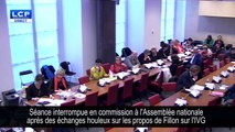 Une commission suspendue à l'Assemblée après un débat houleux sur l'IVG