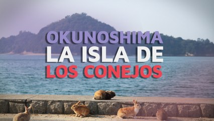 Okunoshima:  La Isla de los Conejos   