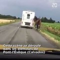 Un cheval traîné par un van sur la route scandalise les internautes