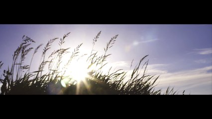 Range Rover Velar : le passe partout