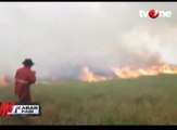 Kebakaran Lahan, Petugas Padamkan Enam Titik Api
