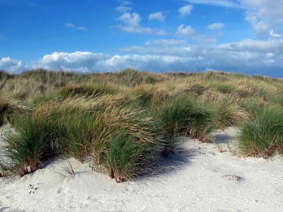 Am Strand von Napstjert