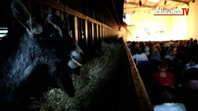 Du classique au milieu des chèvres à Lançon-Provence