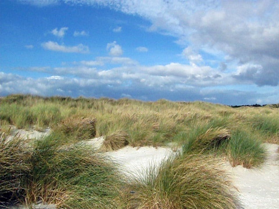 Am schönen Strand von Napstjert im Norden von Dänemark