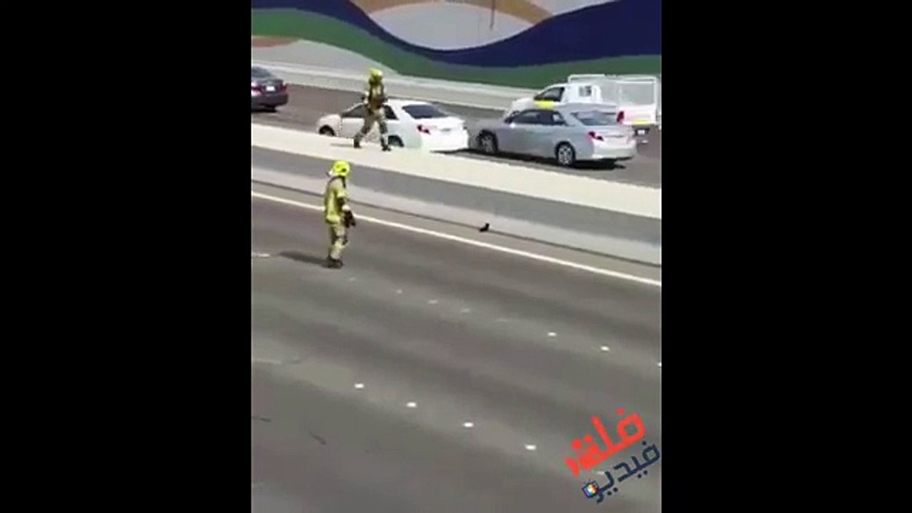 Abudhabhi The Civil Defense stops an entire highway. Look at the reason