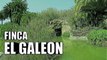 Lugares Sugeridos 1 - Finca El Galeon - Santa Brigida - Gran Canaria 2017