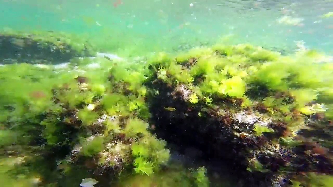 Subnautica in real life 2