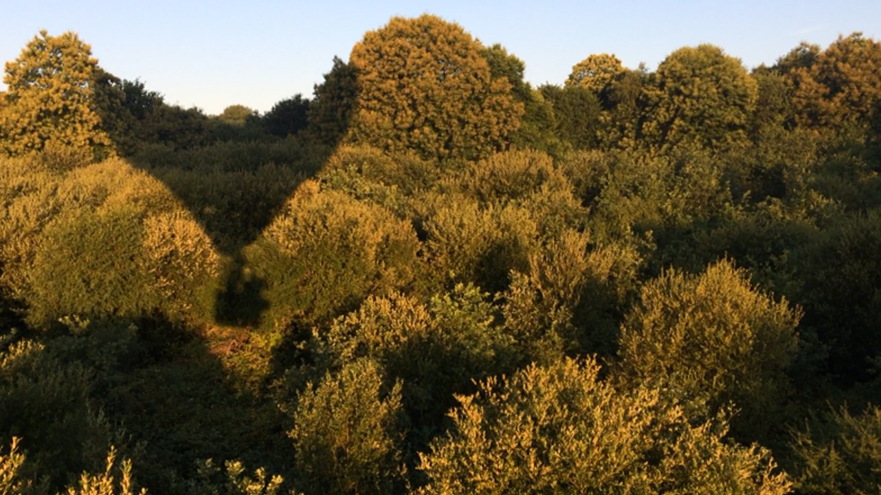 Un vol au gré des vents