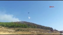 Izmir Aliağa'da 1 Hektar Kızılçam Ormanı Yandı