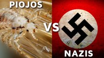 ¿Piojos contra Nazis? La historia de Rudolf Weigl