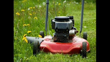 Moises Landscaping LLC - (410) 220-0758