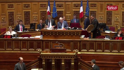 Le Sénat vote la fusion des trois instances représentatives du personnel