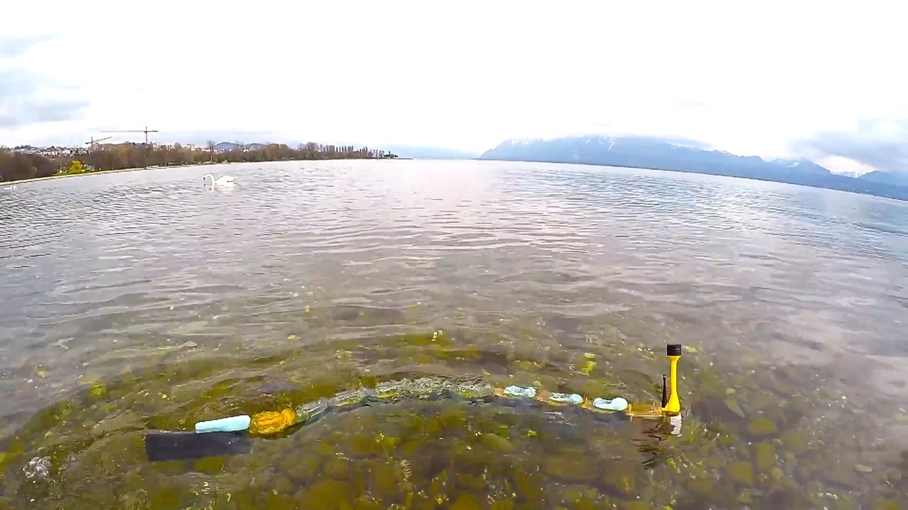 This Robot Eel Sniffs Out Water Pollution