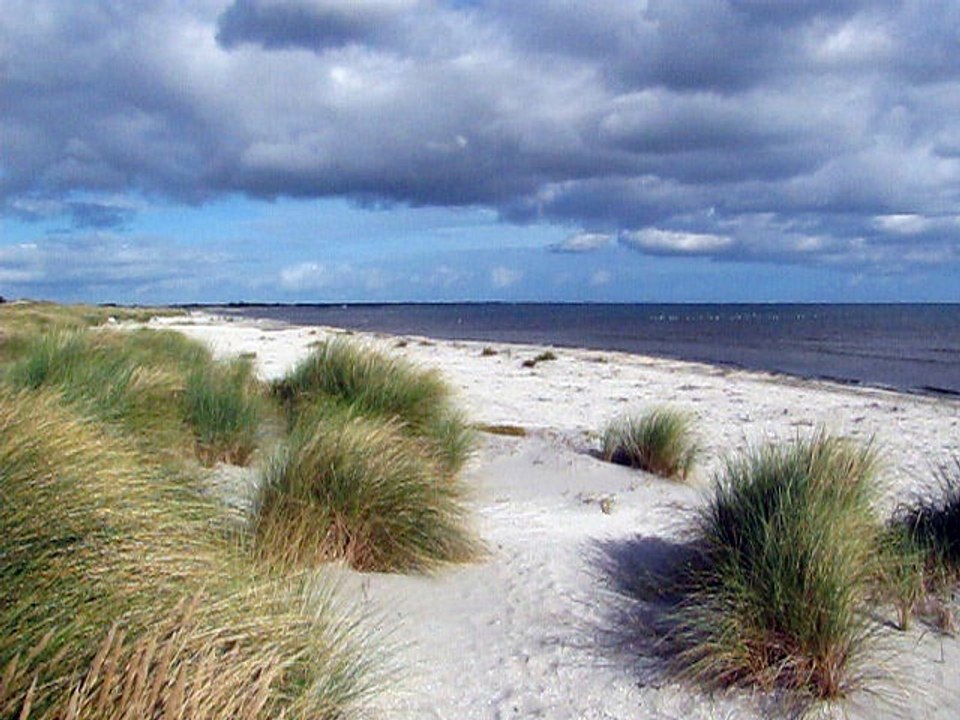 Der Strand von Napstjert in Dänemark