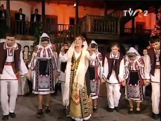 Elena Ionescu Cojocaru - Paharel cu ramurele