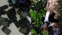 This team is helping to save the rainforest with audio technology