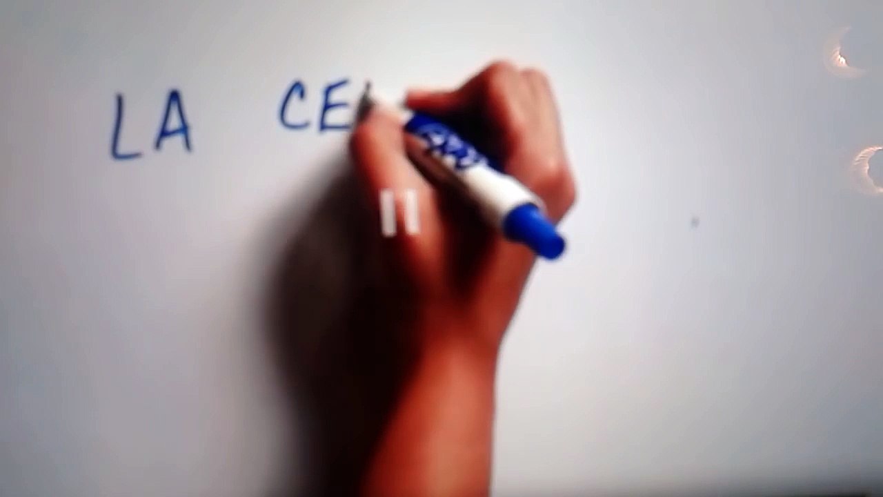 Fr dans et cendrillon chansons histoire de cendrillon |