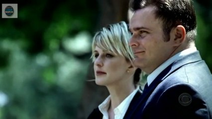 Criminal Files - Our Boy is Back (a.k.a. Useless Cats)