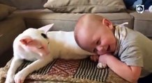 Ce bébé attrape les pattes du chat et il ne veut plus le lâcher, observez attentivement la réaction devenue virale de l