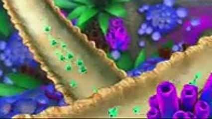 Winx Club Season 5 Beyond Believix Episode 23 The Shark&#039;s Eye HQ, tv 2017 & 2018