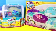 NEW Little Live Pets Lil Mouse House Mice Set & Flutter Wings Butterfly Toy Review by Dis