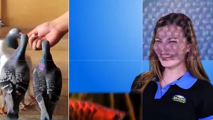 Alagang Magaling S7 EP5 - KALAPATINEUR - DON DON DE GUZMAN