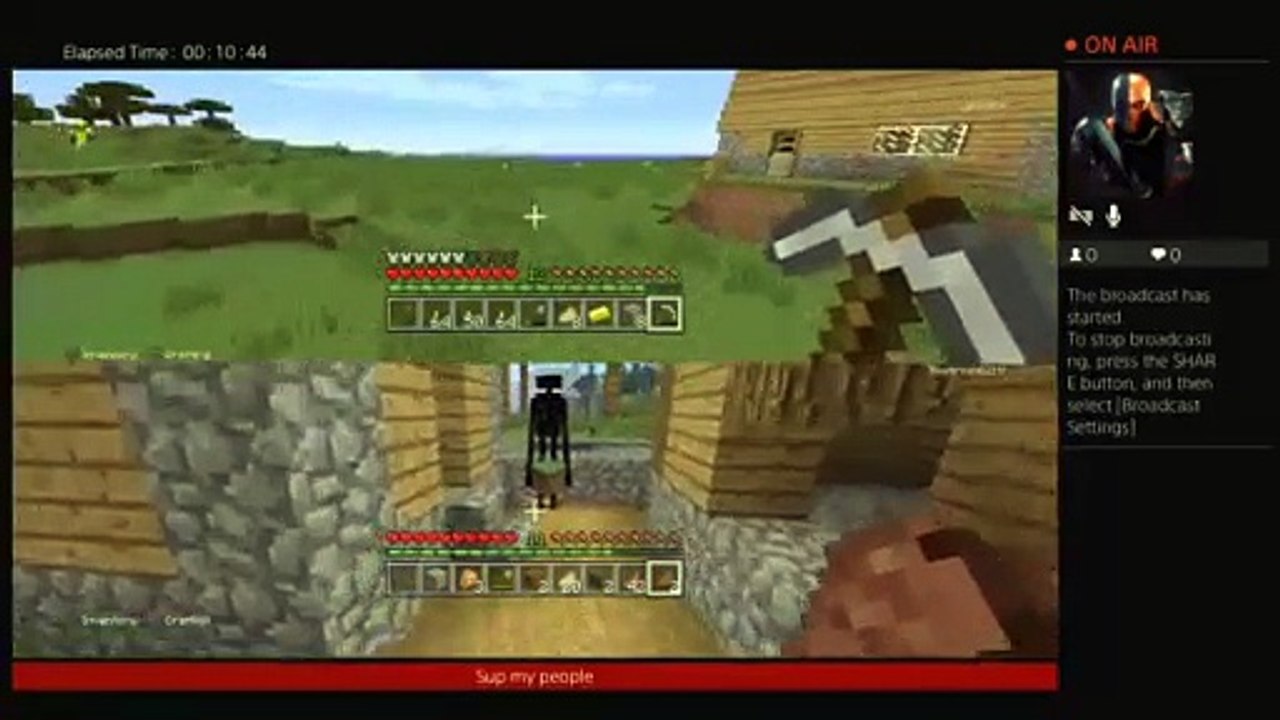Minecaft (84)