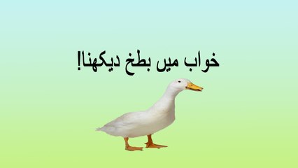 khwabon ki tabeer in Urdu -  khawab mein batakh (duck)  dekhna
