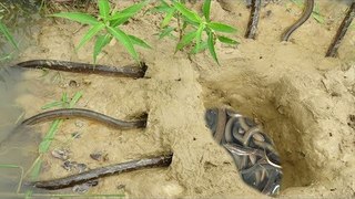 Creative boys Catch Eels By Using Water Pipe With Deep Hole Eel Trap - Catching Eel In Cambodia