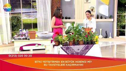 Hayat Güzeldir 18.Bölüm