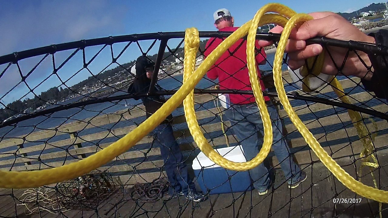 Crab Cam - First Attempt