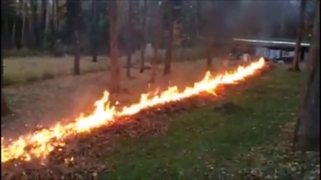 Bruler des feuilles en mode Canadien... Taré