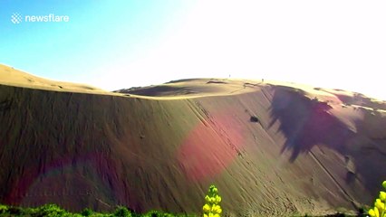 Daredevil sandboards across giant dunes in South Chile