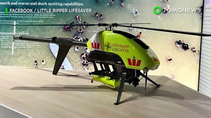 호주, 상어 탐지 드론 하늘에 배치