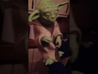 New Career as Comedian Yoda Is Trying