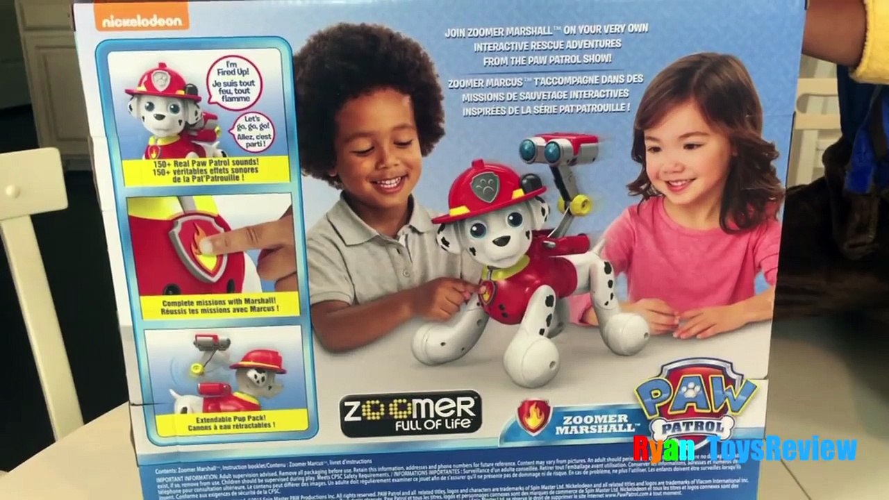 Paw Patrol Zoomer Marshall interivo Pup Zoomer Kitty Bigodes brinquedos  para as criança – Видео Dailymotion