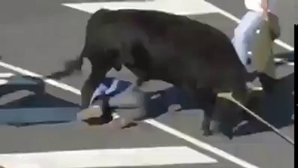 Angry Bull Attacking People_Latest Video Compilation 2017