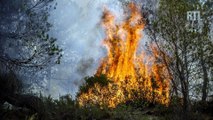 Incendies : le Sud-Est et la Corse ravagés par les flammes