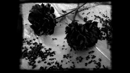 Se fabriquer de belles fleurs noires, effet chic ou gothique !