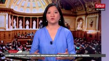 Ordonnances dialogue social : suite du débat au Sénat - Les matins du Sénat (27/07/2017)