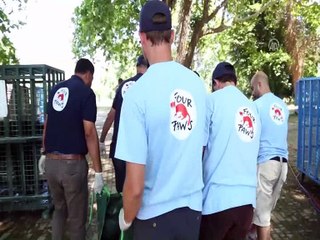 Yabani hayvanların Bursa’ya getirilme görüntüleri paylaşıldı