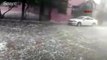Edirne'de  şiddetli dolu yağışı etkili oldu