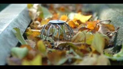 αποφράξεις-δάφνη-2107522298-apofraxeis-dafni