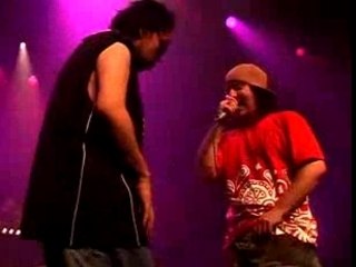 SVINKELS au Transbordeur à Lyon