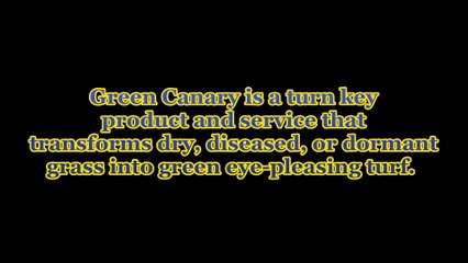 Green Grass Spray - 888-5634523 | green-canary.com