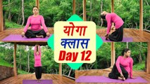 Yoga Class Day 12 |  ताड़ासन, अर्ध मत्येंदर आसन, उष्ट्रासन | 25 Day Course । Boldsky